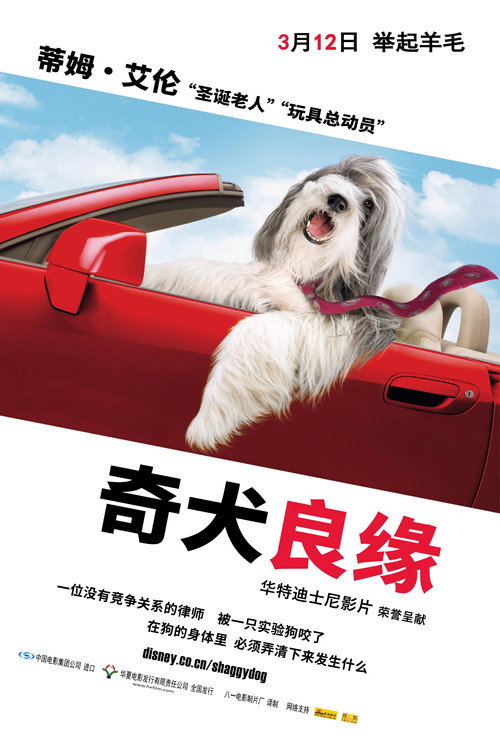 长毛狗电影海报