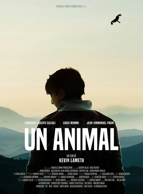 An Animal Poster