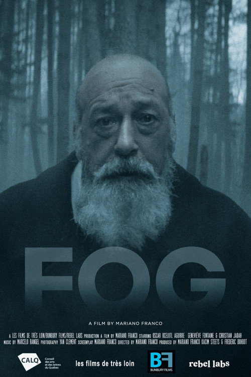 FOG Poster