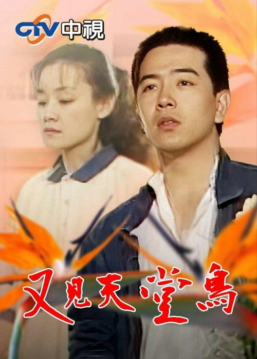 又见天堂鸟电影海报