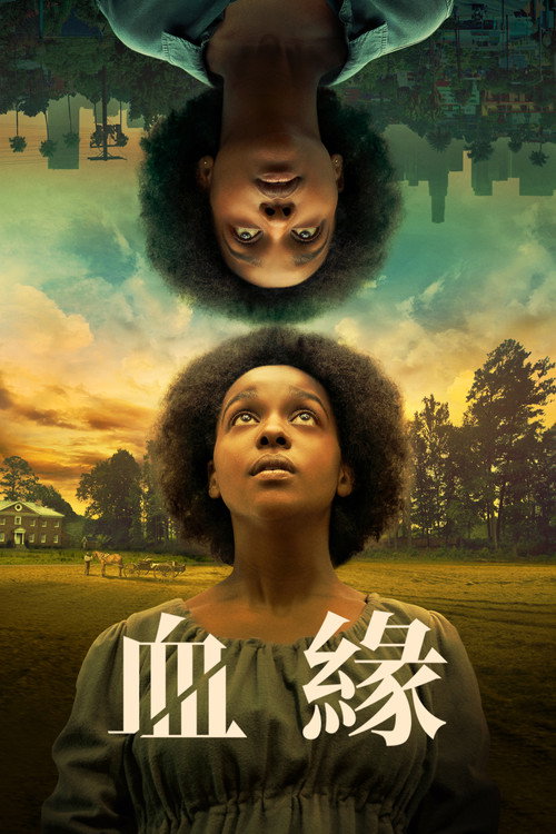 亲缘电影海报