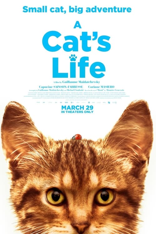 A+Cat%27s+Life