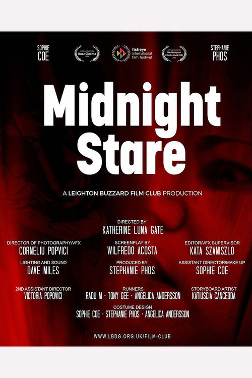 Midnight Stare电影海报