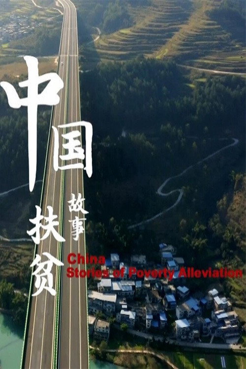 中国扶贫故事电影海报