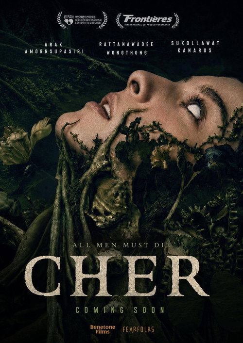 Cher poster 2