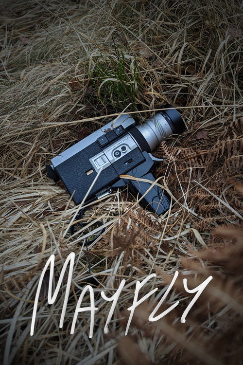 Mayfly poster 3