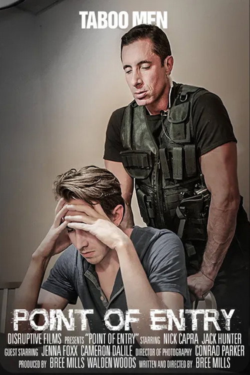 Point of Entry poster 2