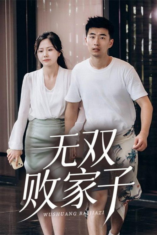 无双败家子海报