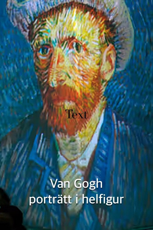 Van Gogh - portr&auml;tt i helfigur电影海报