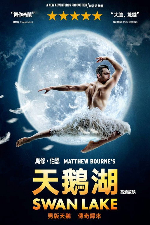 马修&middot;伯恩版《天鹅湖》电影海报