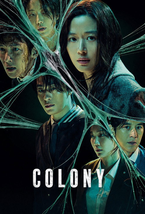 Colony