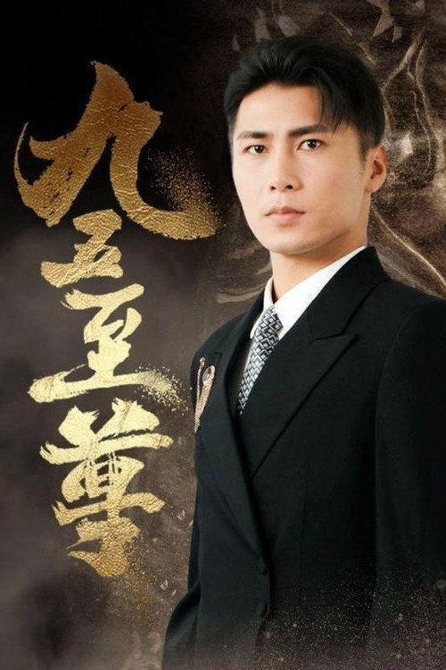 九五至尊电影海报