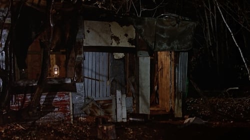 Friday the 13th Part 2 (1981) Watch Full Movie Streaming Online