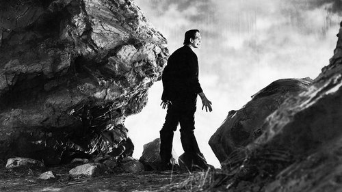 Frankenstein (1931)Bekijk volledige filmstreaming online