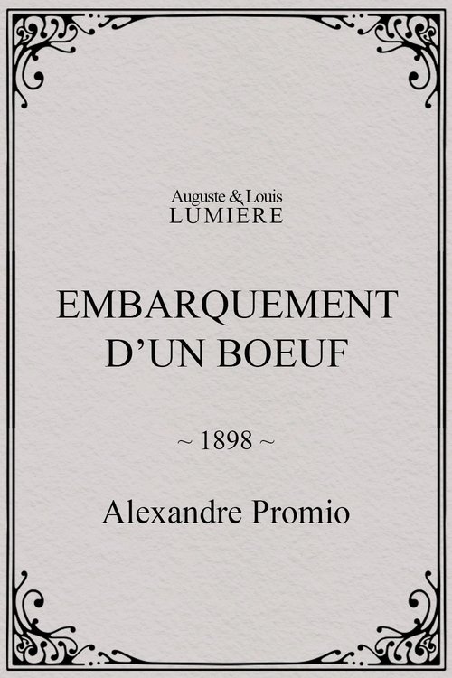 Embarquement+d%E2%80%99un+boeuf