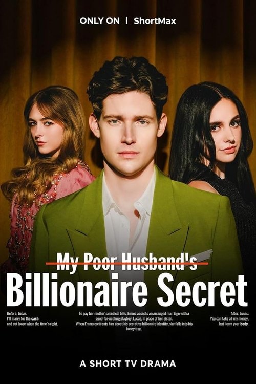 My Poor Husband's Billionaire Secret Poster