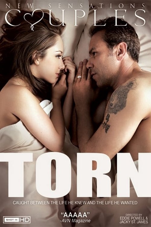 Torn Poster