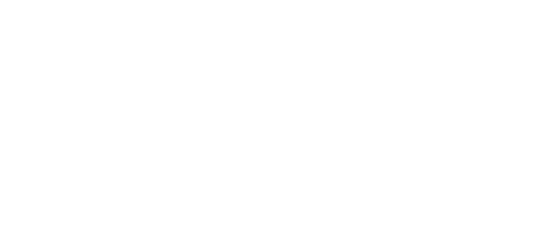 Mufasa The Lion King