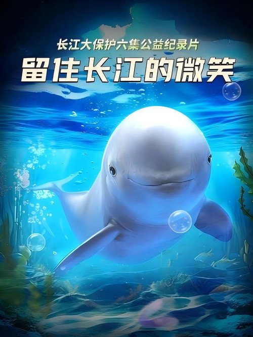 留住长江的微笑电影海报
