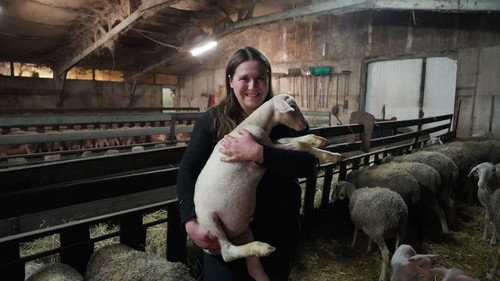 Young French people take over old farms