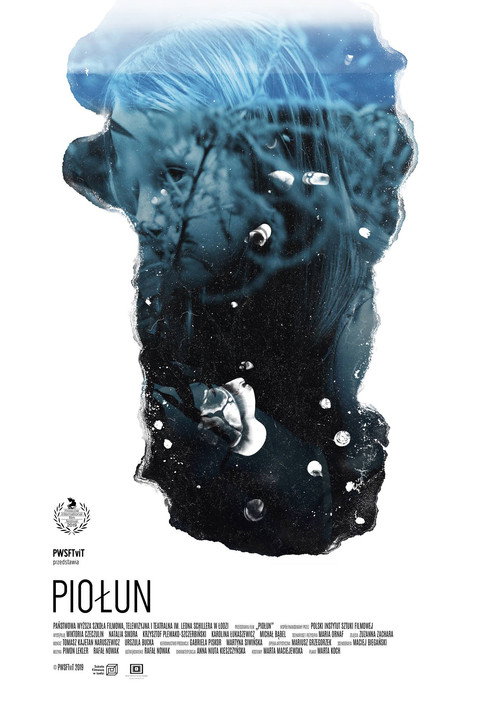 Piołun电影海报