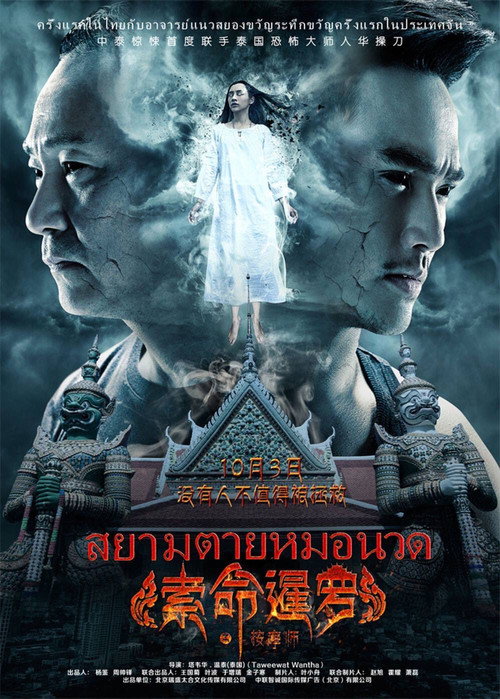 Massagist poster 2