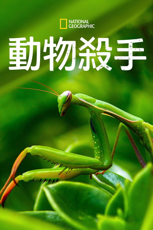 World's Deadliest电影海报