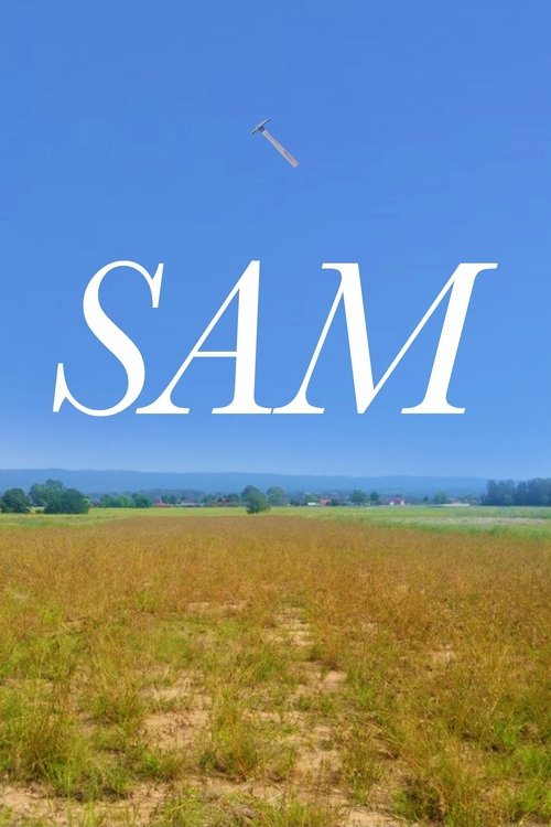 Assistir SAM (2020) Completo dublado em portugues SAM (2020) Assista a transmissão de filmes completos on-line