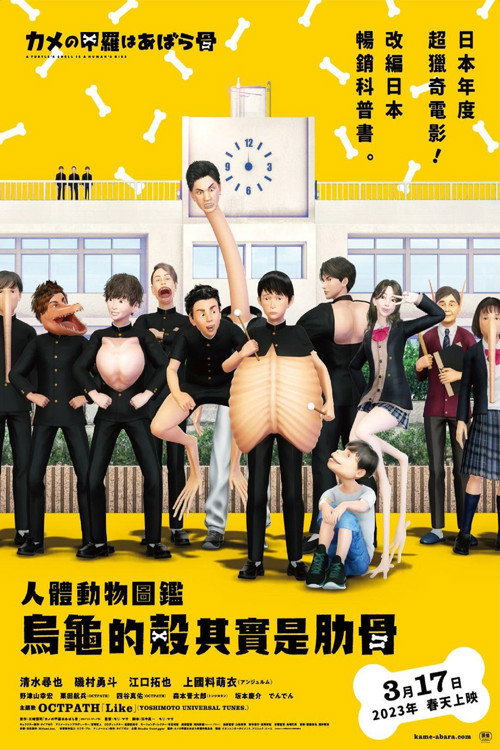 乌龟的壳其实是肋骨电影海报