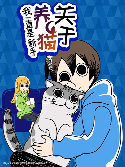 与猫共度的夜晚电影海报