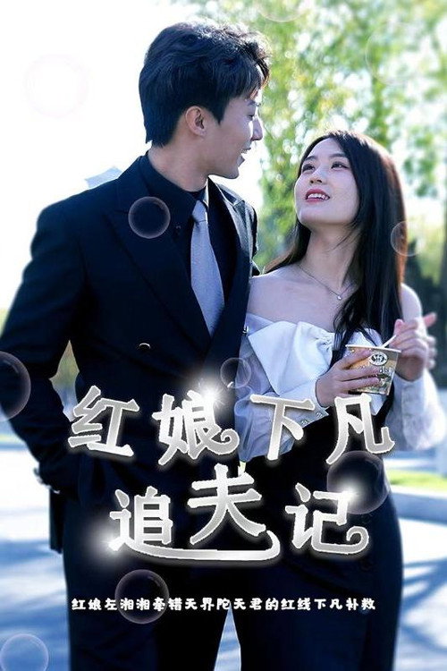 红娘下凡追夫记电影海报