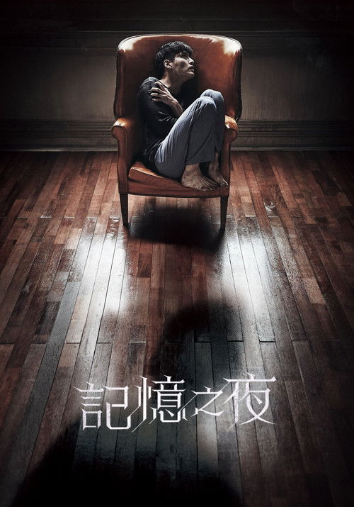 记忆之夜电影海报