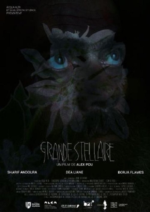 Grande Stellaire Poster