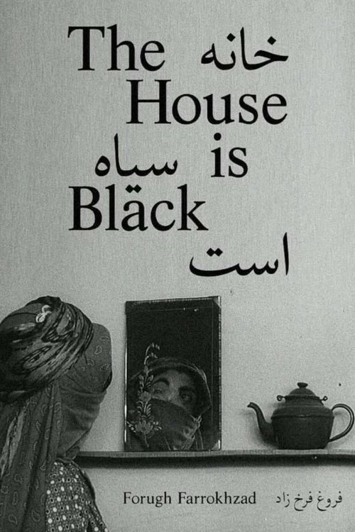 خانه سیاه است poster
