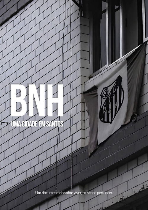 BNH: Uma Cidade em Santos