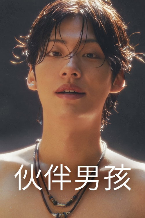 伙伴男孩电影海报