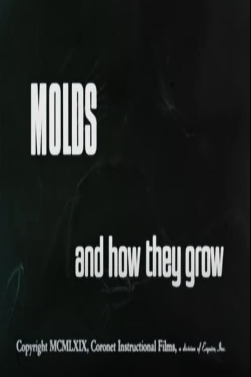 Molds+and+How+They+Grow