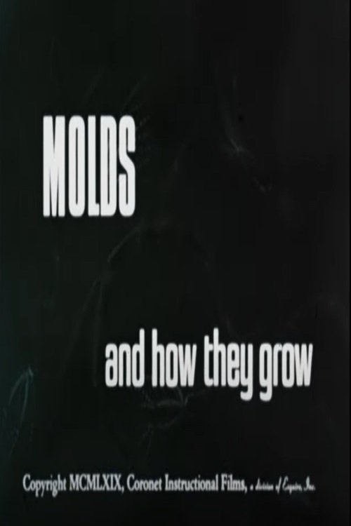 Molds+and+How+They+Grow