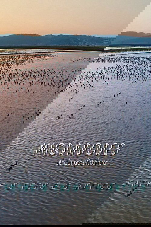 Migradores de Longa Distância: Entre o Tejo e o Ártico