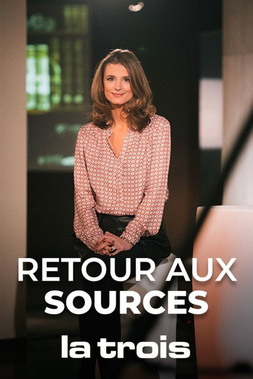 Retour aux sources电影海报