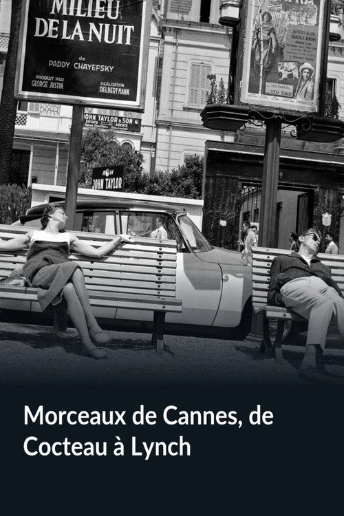 Morceaux de Cannes poster 2