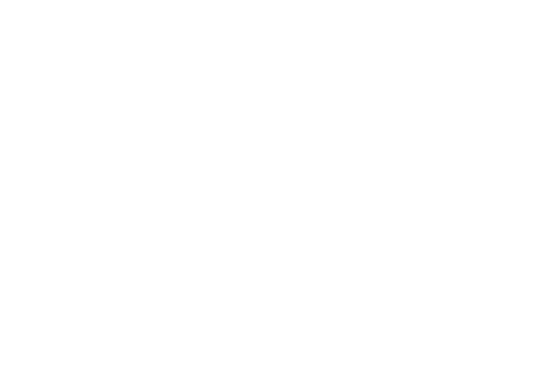 REACHER S01 Logo