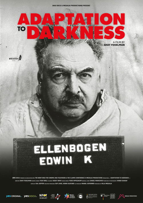 Adaptation to Darkness