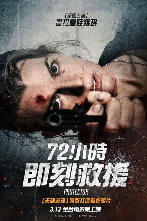 保护者电影海报