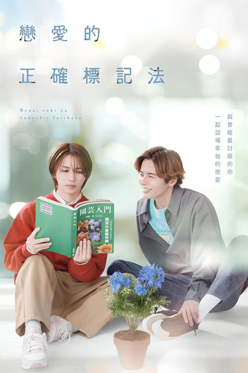 恋爱的正确标记法电影海报