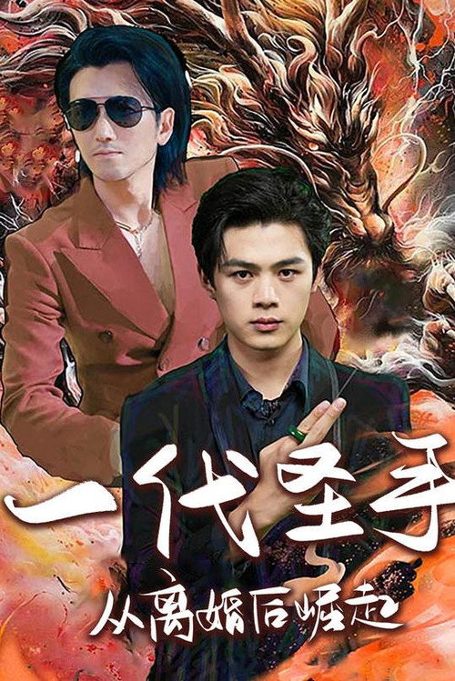 一代圣手：从离婚后崛起电影海报