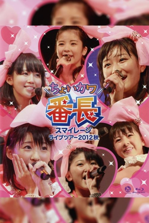 S/mileage 2012 Autumn ~Choi Kawa Banchou~ Poster