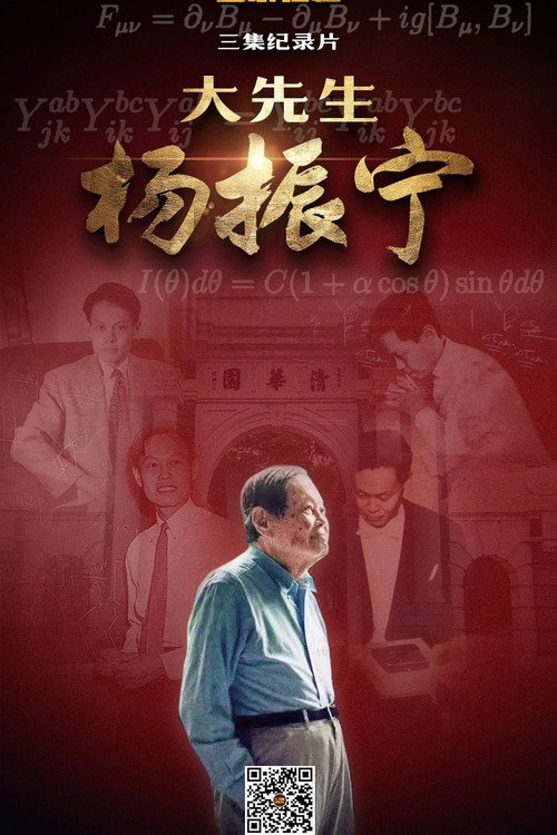 大先生杨振宁电影海报