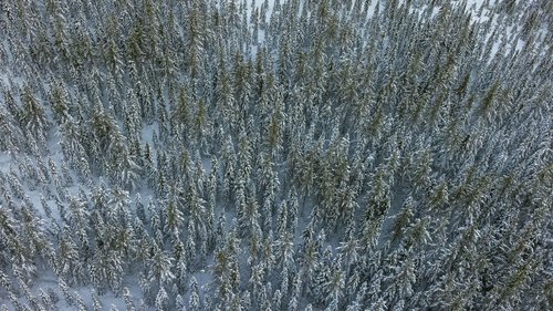image1