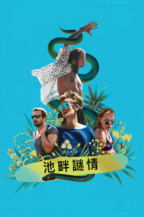 假日惊情电影海报